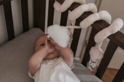 Tryco Zwaan Ivy Boxspiraal TR-243304 -Baby Kinderwagen Serie Winkel 1200x799 19