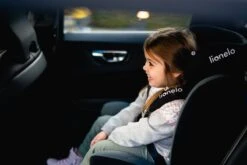 Lionelo Bastiaan - Autostoel - 360° Draaibaar - ISOFIX 26 Lionelo Bastiaan - Autostoel - 360° Draaibaar - ISOFIX -Baby Kinderwagen Serie Winkel 1200x800 14