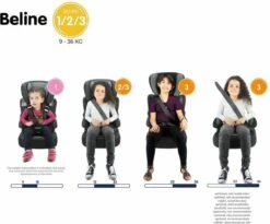 Nania - Autostoel BELINE Animals - Groep 1/2/3 - Meegroeistoel - Van 9 Tot 36 Kg - FLAMINGO -Baby Kinderwagen Serie Winkel 1200x995