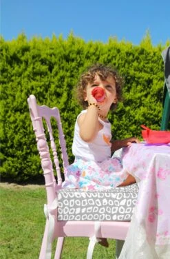 Babyjem Booster Chair Grey 6 Babyjem Booster Chair Grey -Baby Kinderwagen Serie Winkel 789x1200 5