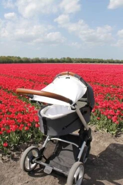 Dooky Universal Cover Zonnescherm Kinderwagen - Crème -Baby Kinderwagen Serie Winkel 800x1200 80