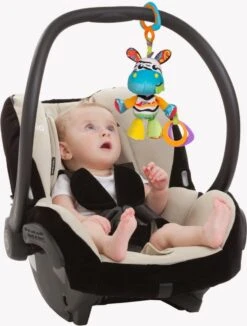 Playgro Zoe Zebra Hangspeeltje P0186979 -Baby Kinderwagen Serie Winkel 910x1200 2